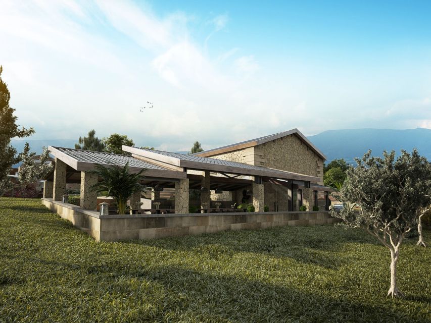 Explore the Secrets of Wine and Olives in Chania - Who will enjoy this Chania safari