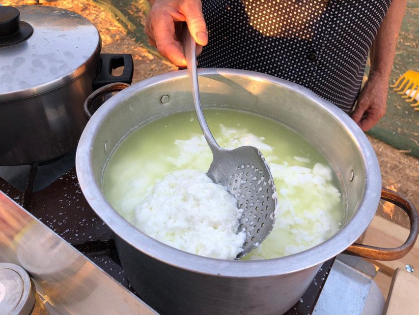 Farm Tour with Cheese-Making, Olive Oil Tasting & Picnic - Practical advice before you go