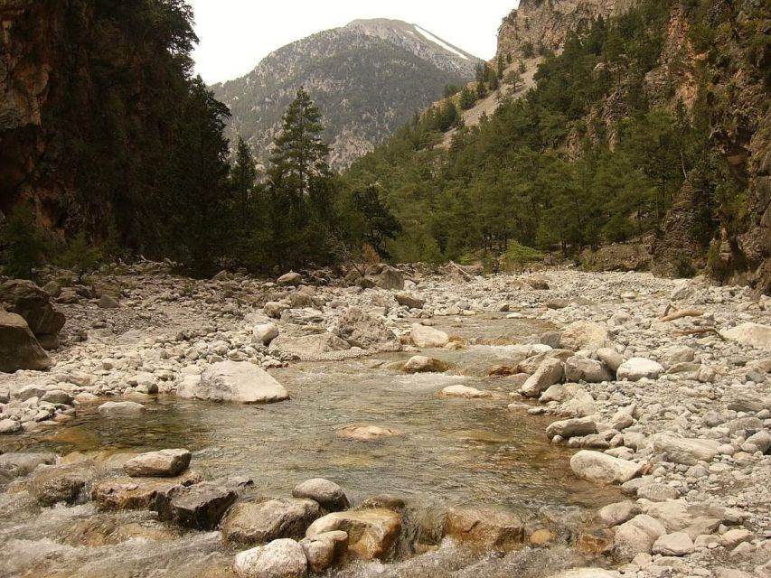 From Agia Galini/Matala: Samaria Gorge Hiking Tour - Key points to know before booking