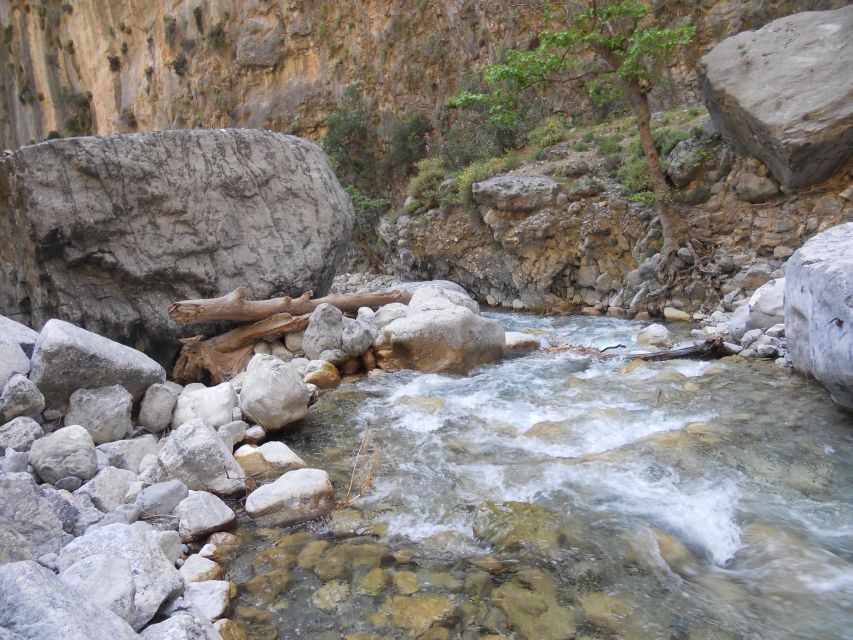 From Agia Galini/Matala: Samaria Gorge Hiking Tour - Starting the 1,200-meter descent