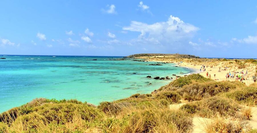 From Chania Area: Day Trip to Elafonisi Island by Bus - A coffee stop and a taste of local honey