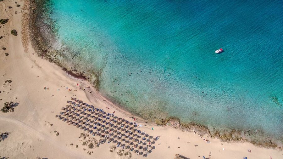 From Chania Area: Day Trip to Elafonisi Island by Bus - Is $43 a fair price?