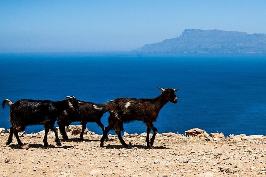 From Chania: Balos Lagoon & Falassarna Private 4WD Road Trip - Should you book it?