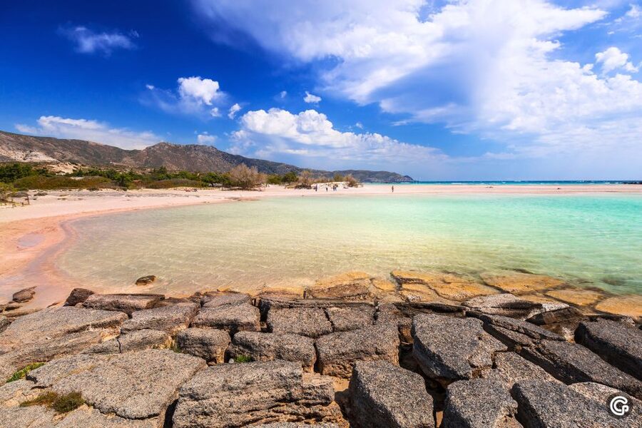 From Chania: Day Trip to Elafonisi Island Pink Sand Beach - Guides, buses, and the feel of the day
