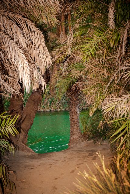 From Chania: Day Trip to Preveli Beach & Damnoni Beach - Plakias offers food and a change of pace