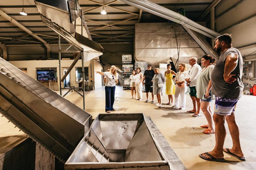 From Chania: Elafonisi and Falasarna Guided Tour with Snacks - Who should book it