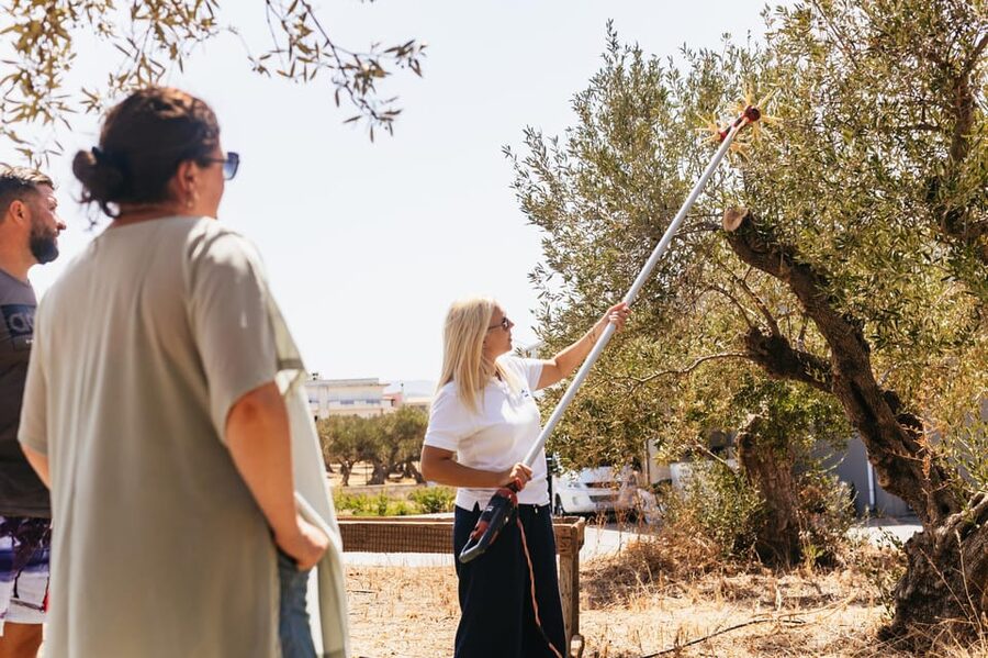 From Chania: Elafonisi and Falasarna Guided Tour with Snacks - Timing, group size, and the long-day reality
