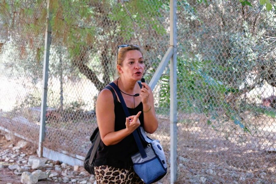 From Chania: Full-Day Heraklion Highlights Guided Tour - What the minibus adds to the day