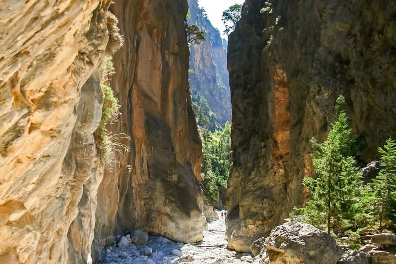 From Chania: Full-Day Samaria Gorge Trek Excursion & Guide - Guides, buses, and how the organization affects the day