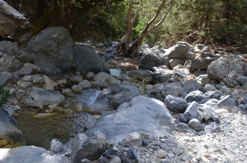 From Chania/Kalyves: Full-Day Samaria Gorge Hiking Day Trip - Who will enjoy this day most