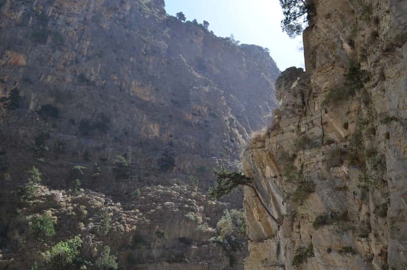 From Chania/Kalyves: Full-Day Samaria Gorge Hiking Day Trip - Starting at Xyloskalo at 1,227 metres
