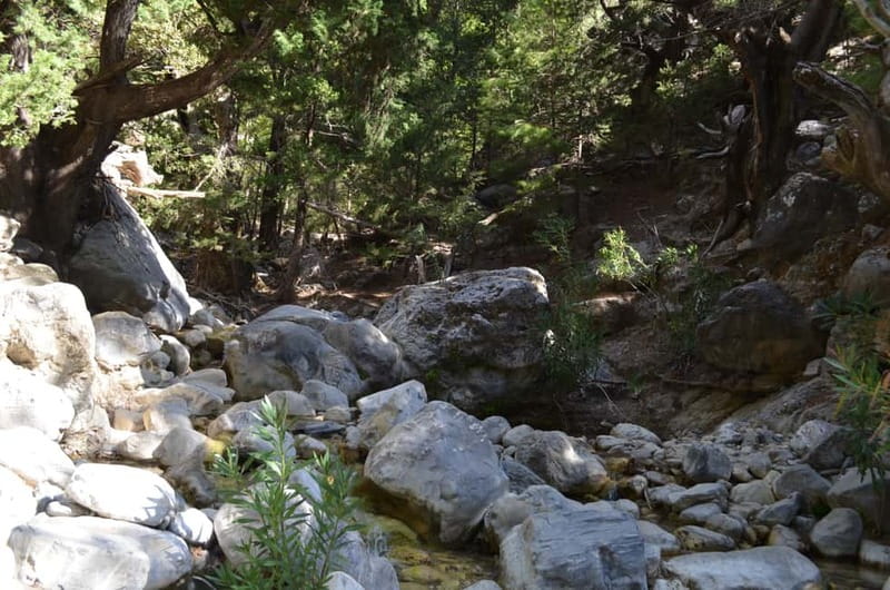 From Chania/Kalyves: Full-Day Samaria Gorge Hiking Day Trip - Agia Roumeli gives you a proper finish