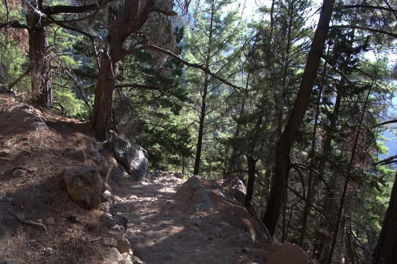 From Chania/Kalyves: Full-Day Samaria Gorge Hiking Day Trip - What the $32.75 price really covers