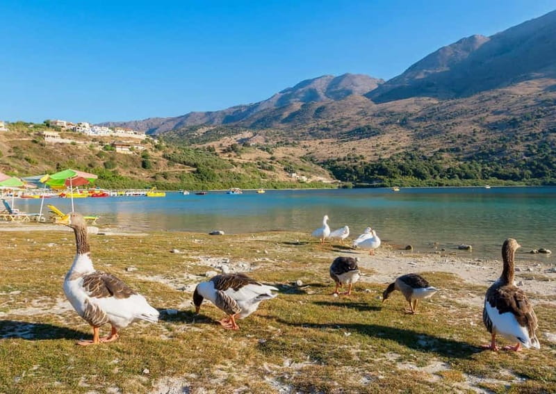 From Chania: Lake Kournas & Argiroupoli Springs Guided Tour - Lake Kournas: your longest free-time stop