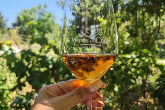 From Chania Private half day Winery-Olive factory-Kournas lake - Who should book this experience?