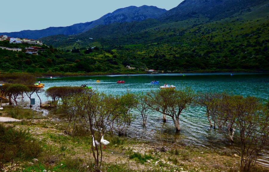 From Chania: Rethymno, Lake Kournas & Olive Oil Tasting Tour - Who should book this Crete tour?