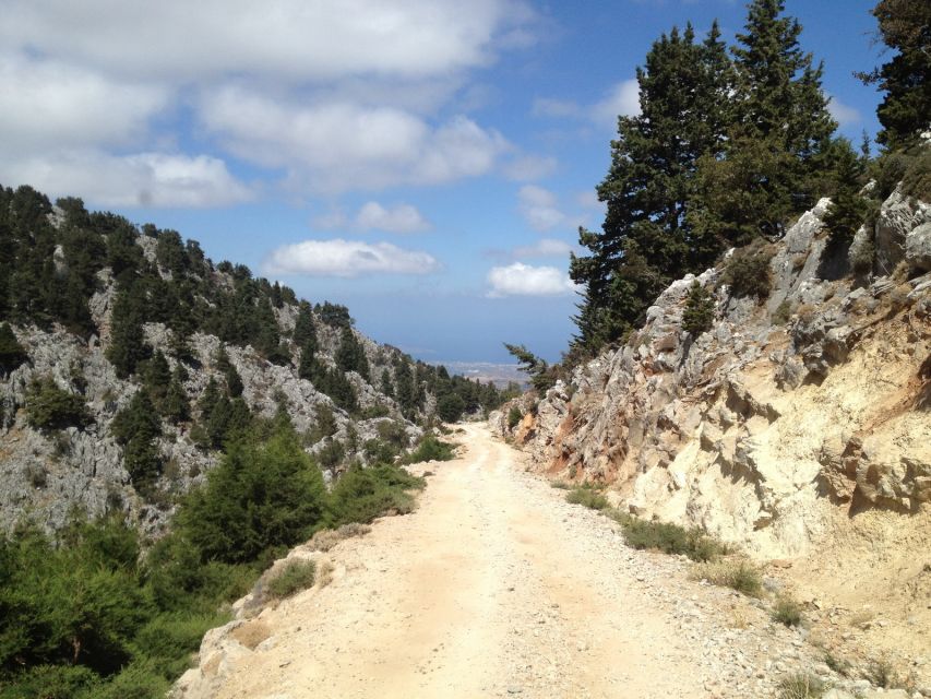 From Chania: White Mountains Land Rover Safari - Should You Book the White Mountains Safari?