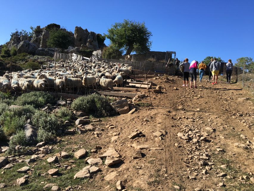 From Chania: White Mountains Land Rover Safari - Guides, Languages, and the Feel of a Small Group