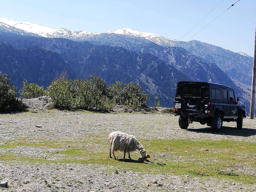 From Chania: White Mountains Land Rover Safari - What the Land Rover Ride Is Really Like