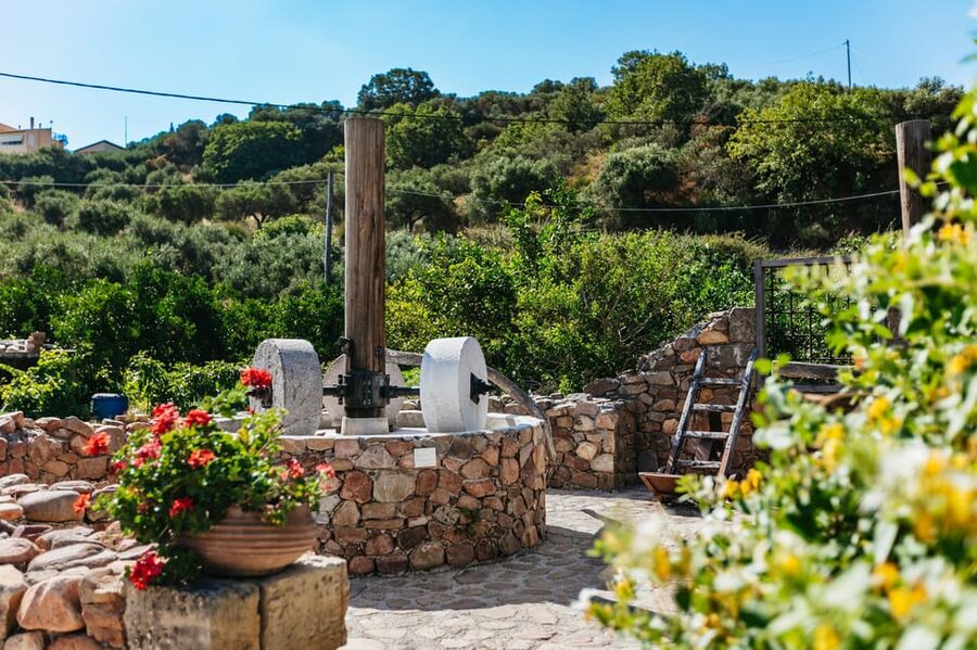 From Chania: Wine and Olive Oil Tasting Tour with Snacks - The second winery, local blends, and a light lunch