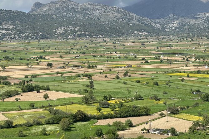 From Heraklion Private Day Tour Knossos-Lassithi Plateau - The Lasithi Plateau and its old windmills