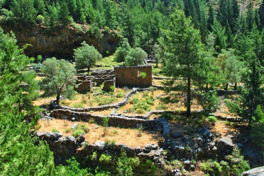 From Heraklion: Samaria Gorge & Agia Roumeli Hiking Day Trip - White Mountain views, river bends, and Kri-kri goats