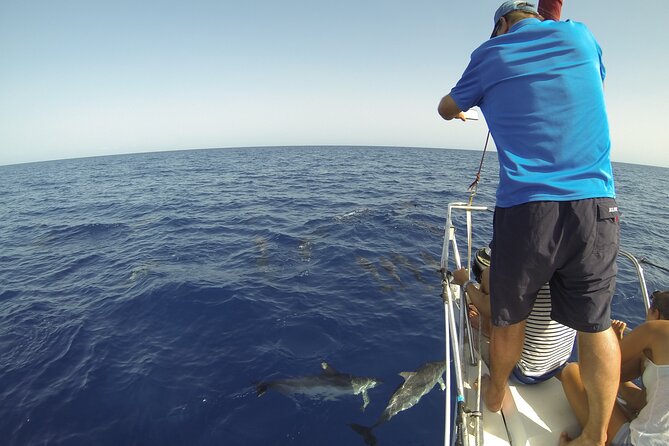 From Heraklion : Small Group 5,5 hours Sailing Trip to Dia Island - What the crew adds to the experience