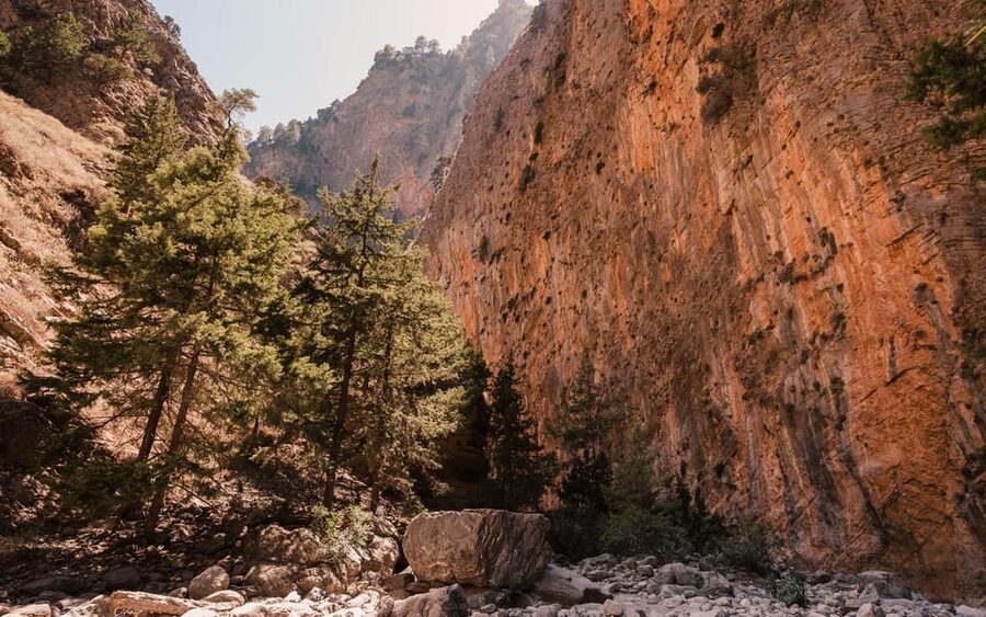 From Panormo or Lavris: Samaria Gorge Hike with Guide - The ferry to Sfakia and the bus home
