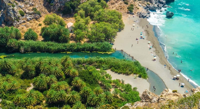 From Rethymno/Chania: Day Trip to Preveli Palm Beach - Key points to know before booking
