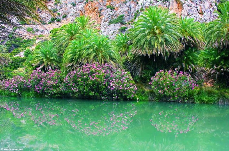 From Rethymno/Chania: Day Trip to Preveli Palm Beach - Who will enjoy this Crete day trip