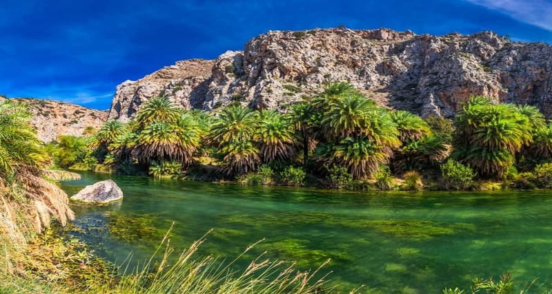 From Rethymno/Chania: Day Trip to Preveli Palm Beach - The road through Crete’s southern mountains