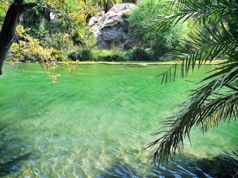 From Rethymno/Chania: Day Trip to Preveli Palm Beach - Damnoni Beach and the boat to Preveli