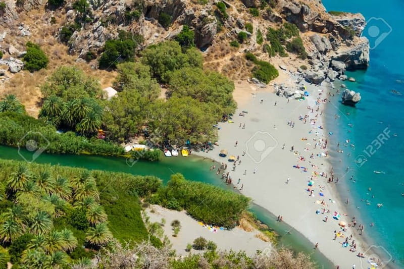 From Rethymno/Chania: Day Trip to Preveli Palm Beach - Walking the palm forest and river mouth