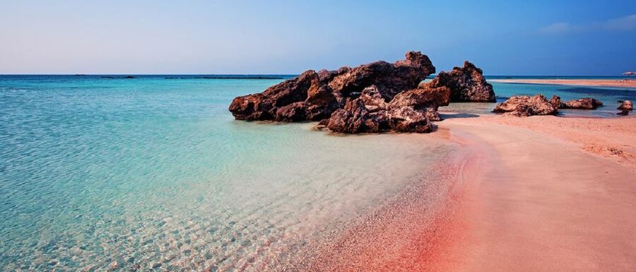 From Rethymno & Chania: Elafonisi Island Day Tour by Bus - The return journey and the value of the day