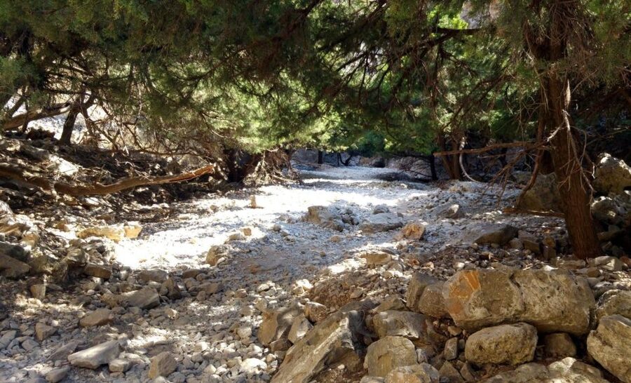 From Rethymno/Chania: Imbros Gorge Hike - Breakfast, the trailhead, and the €5 entrance