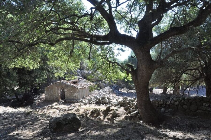 From Rethymno/Chania: Imbros Gorge Hike - What the $30 price really covers