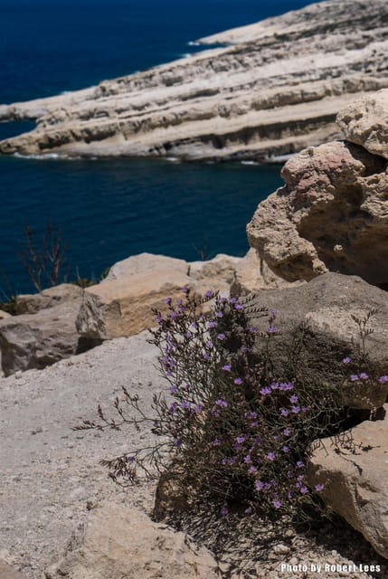 From Rethymno: Day trip to MATALA - AG.GALINI - SPILI - Three hours around Matala Beach
