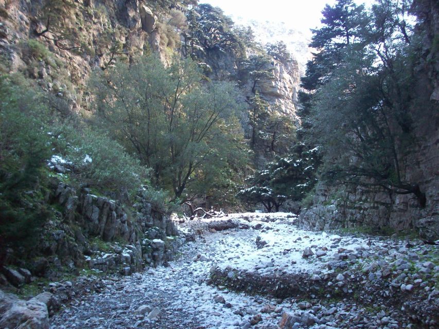 From Rethymno: Imbros Gorge & Libyan Guided Sea Tour - Key points at a glance