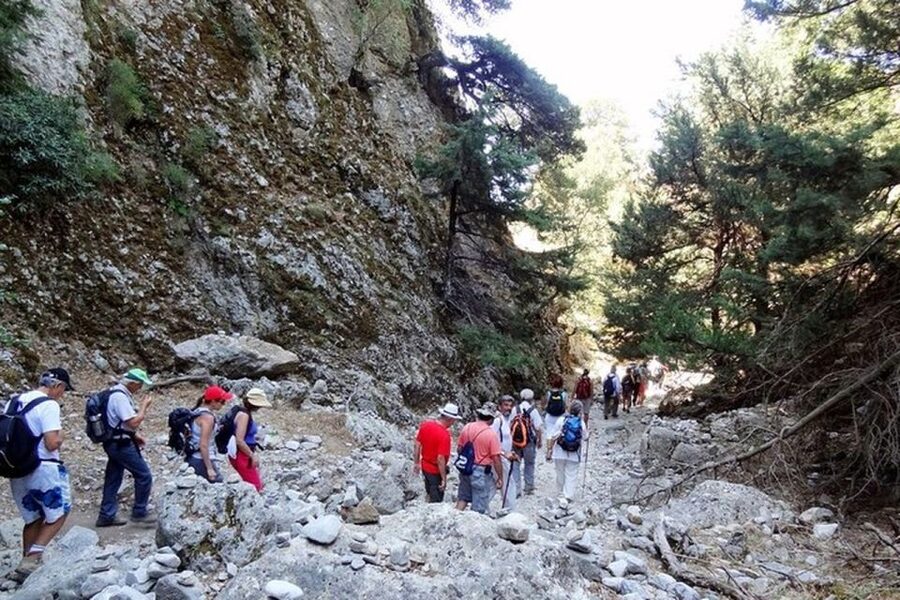 From Rethymno: Imbros Gorge & Libyan Guided Sea Tour - What to pack and who should book
