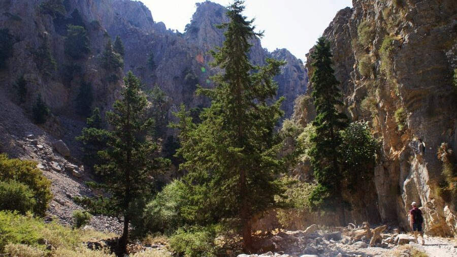 From Rethymno: Imbros Gorge & Libyan Guided Sea Tour - Komitades Village and the move toward the sea