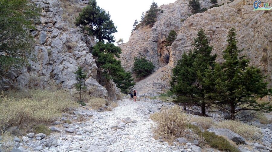 From Rethymno: Imbros Gorge & Libyan Guided Sea Tour - Cooling off in the Libyan Sea