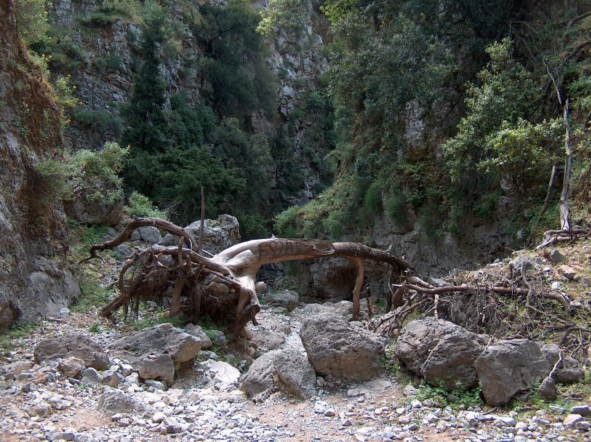 From Rethymno: Imbros Gorge & Libyan Guided Sea Tour - Lunch with a south-coast setting