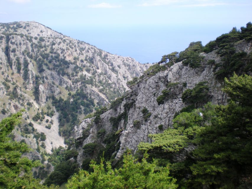From Rethymno: Imbros Gorge & Libyan Guided Sea Tour - How the guiding affects the day