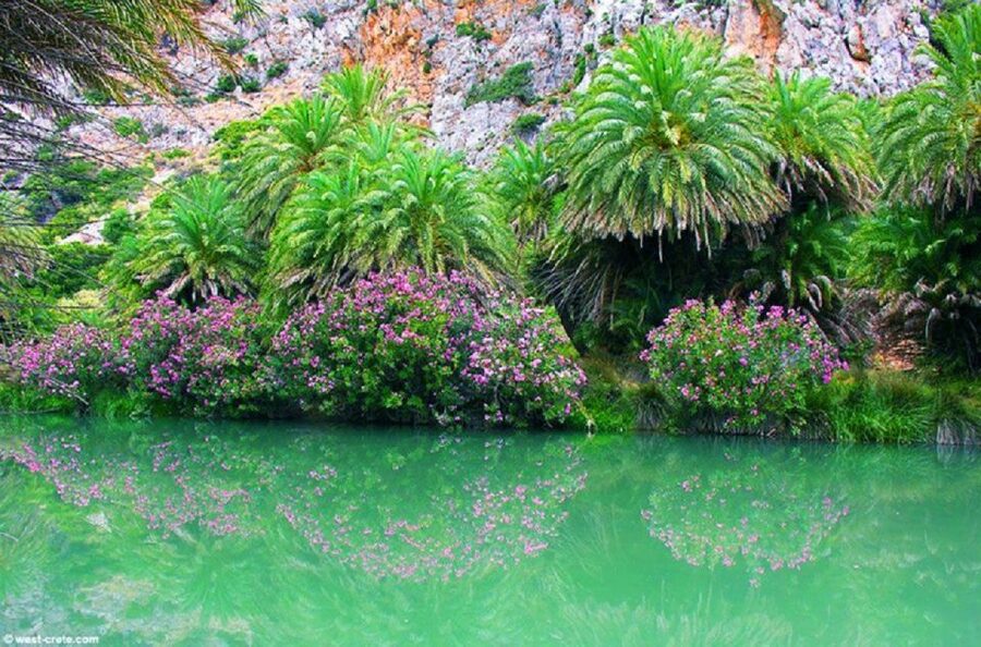 From Rethymno: Preveli Palm Beach and Kourtaliotiko Day Trip - Free time in the palm forest