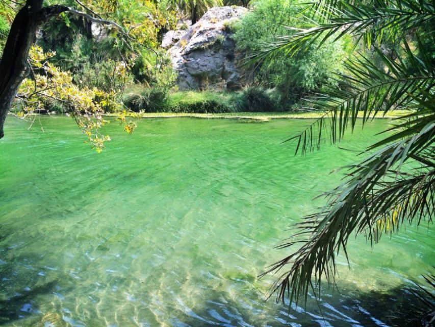 From Rethymno: Preveli Palm Beach and Kourtaliotiko Day Trip - Practical tips for a better day