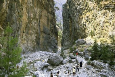 Samaria Gorge Full-Day Trek, Pickup & Guide