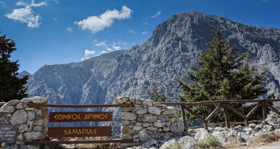 From Rethymno: Samaria Gorge Full-Day Trek, Pickup & Guide - The first section: steep stones and old forest