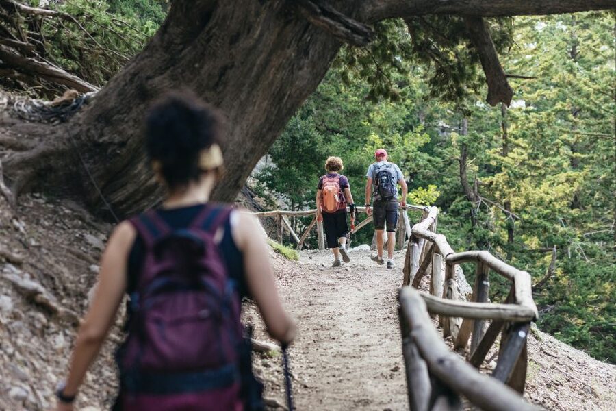 From Rethymno: Samaria Gorge Full-Day Trek, Pickup & Guide - What the $37 price really covers