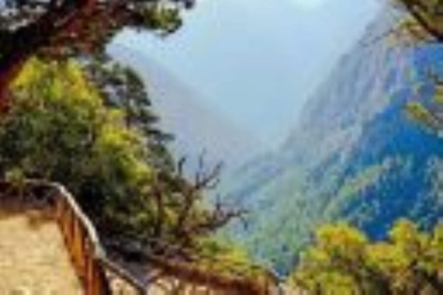 From Rethymno: Samaria gorge with Professional Hiking Guide - The Iron Gates and the changing scenery