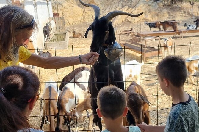 Full Day 4x4 Self-Drive Safari Tour in Crete with BBQ Lunch - Aposelemis Dam and the Roman aqueduct
